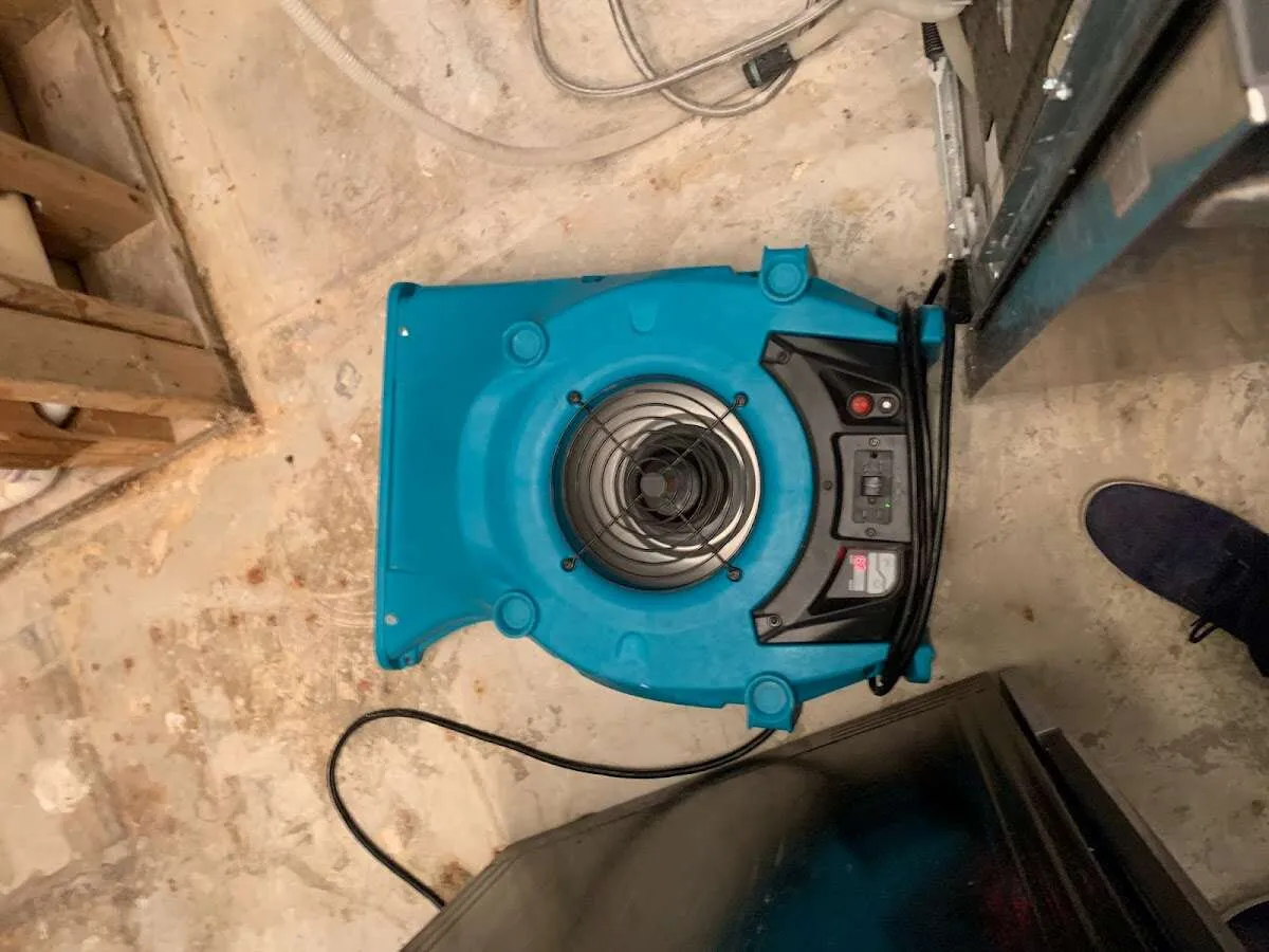 Air mover drying equipment for Mold Remediation & Removal in Parsippany-Troy Hills